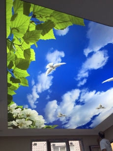 Barissol G�ky�z� Gergi tavan