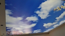 Üsküdar'da Gökyüzünde güvercin desenli Gergi tavan