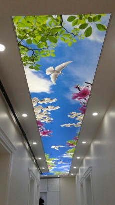 En uygun fiyatlara m�kemmel gergi tavan barisol tavan