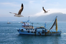 Deniz ve Sahil Resimleri