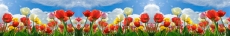 3D  Mutfak Tezgah Aras�